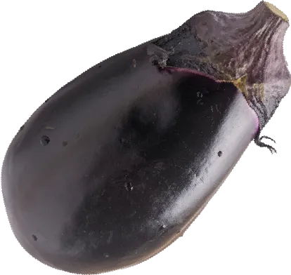 水茄子
